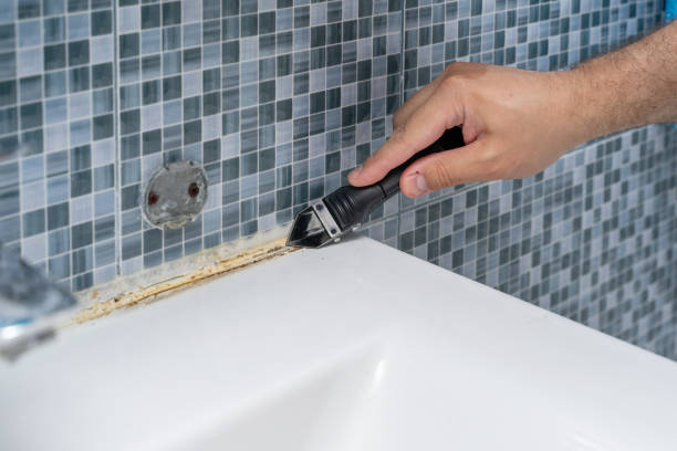 Best Home Mold Removal  in Kings Park, VA