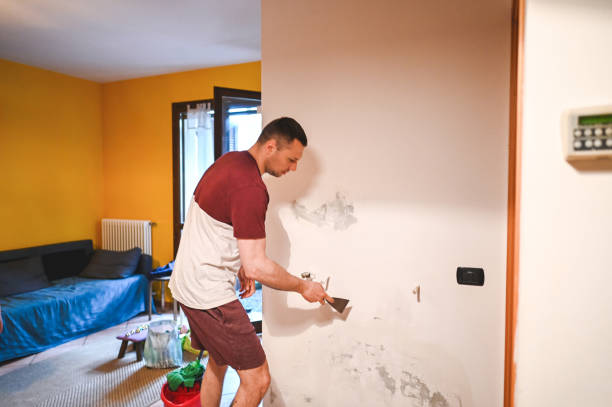 Best Mold Removal Process  in Kings Park, VA